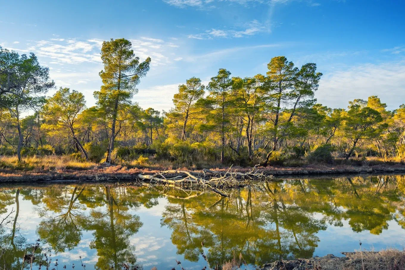 National-Park-of-Karavasta.jpg